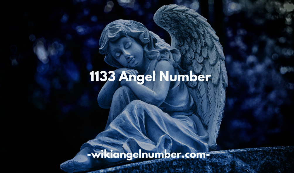 1133 Angel Number