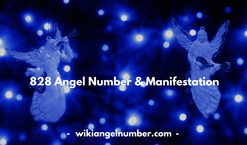 828 Angel Number