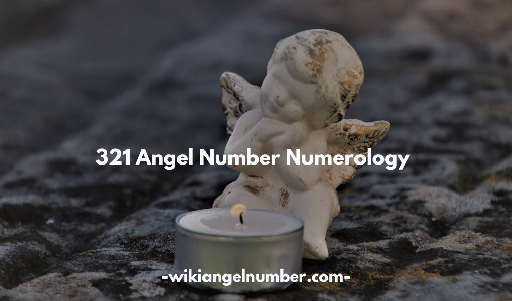 321 Angel Number