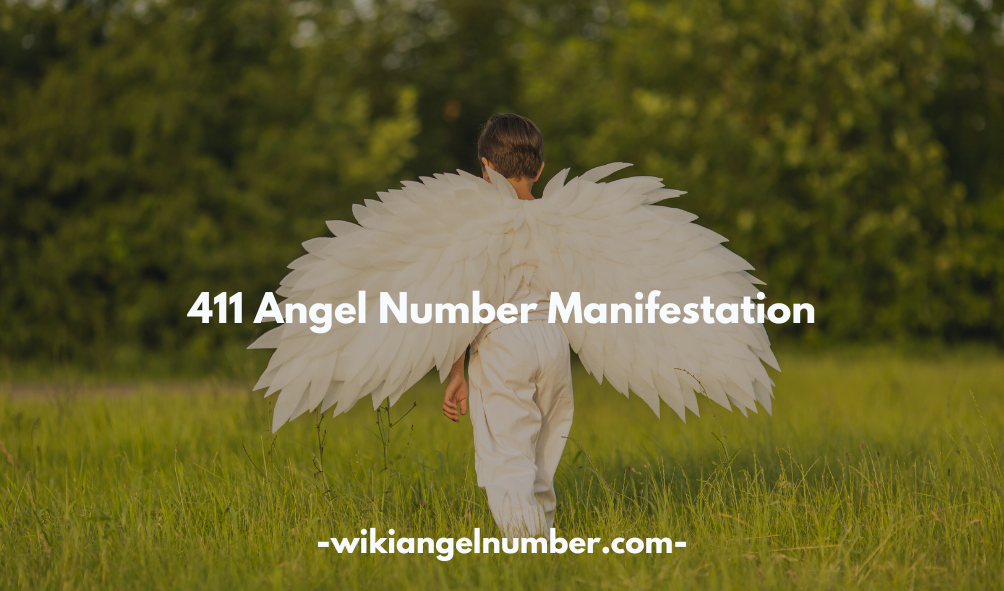 411 Angel Number