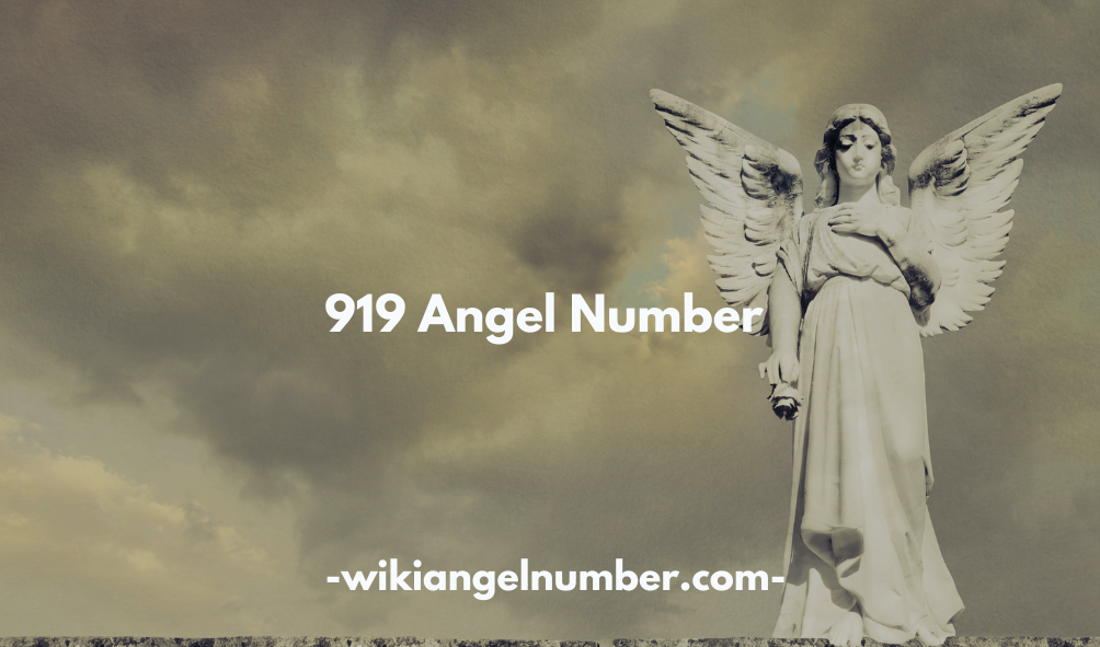 919 Angel Number