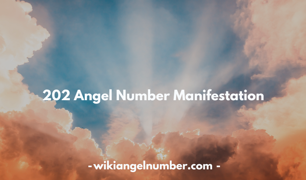 202 Angel Number Manifestationn