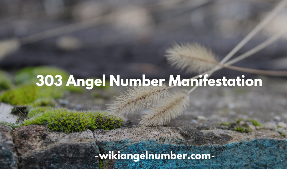 303 Angel Number